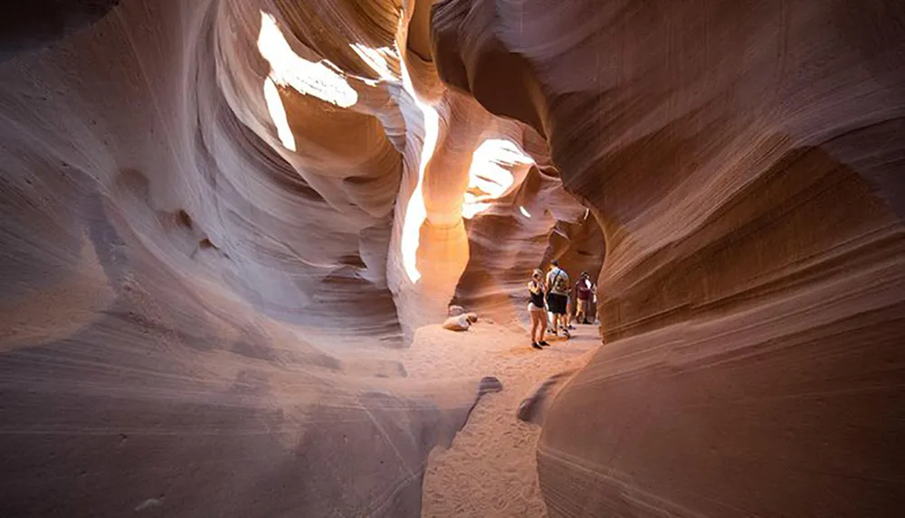 A group of people explores the smooth winding sandstone walls of a narrow slot canyon illuminated by diffused sunlight