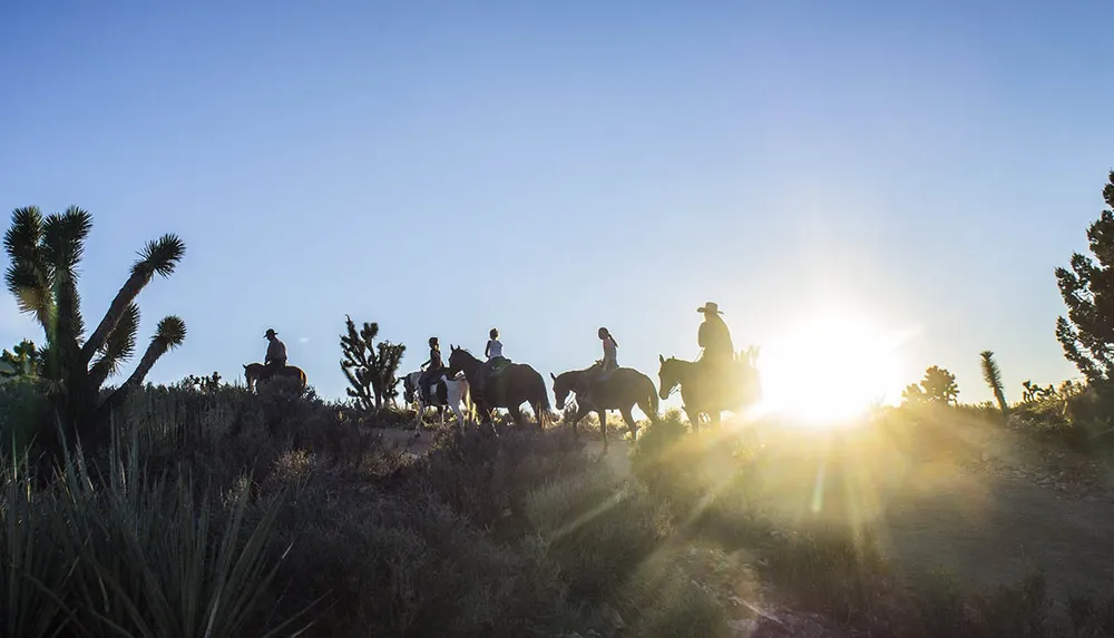 The image shows a group of horseback riders silhouetted against a setting or rising sun in a desert landscape dotted with cacti
