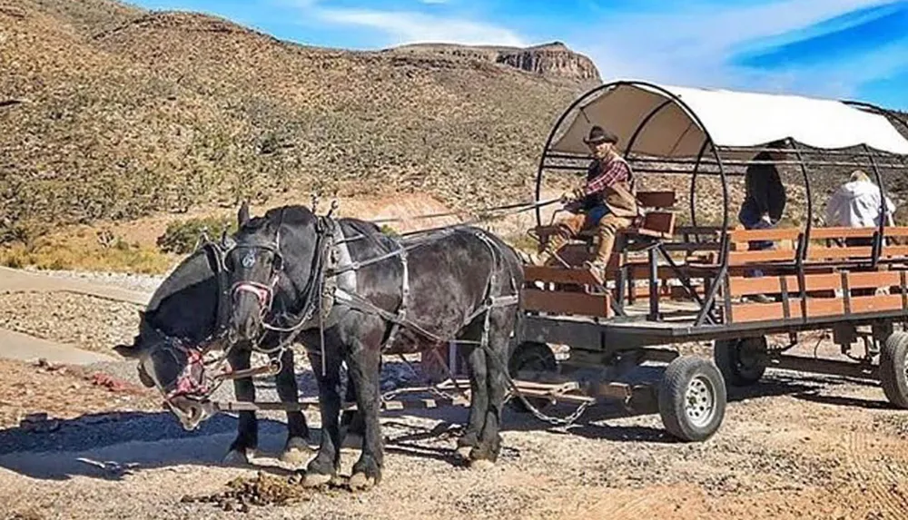 A horse-drawn wagon with passengers is being driven by a person wearing a cowboy hat on a desert road