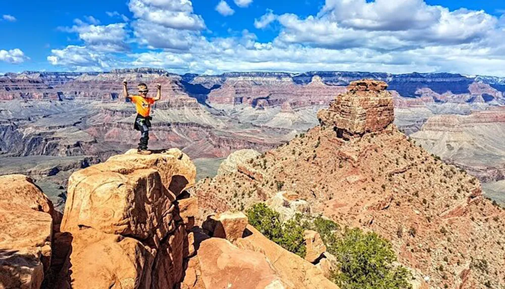 A person with raised arms stands triumphantly atop a rock formation overlooking the vast and scenic landscape of the Grand Canyon