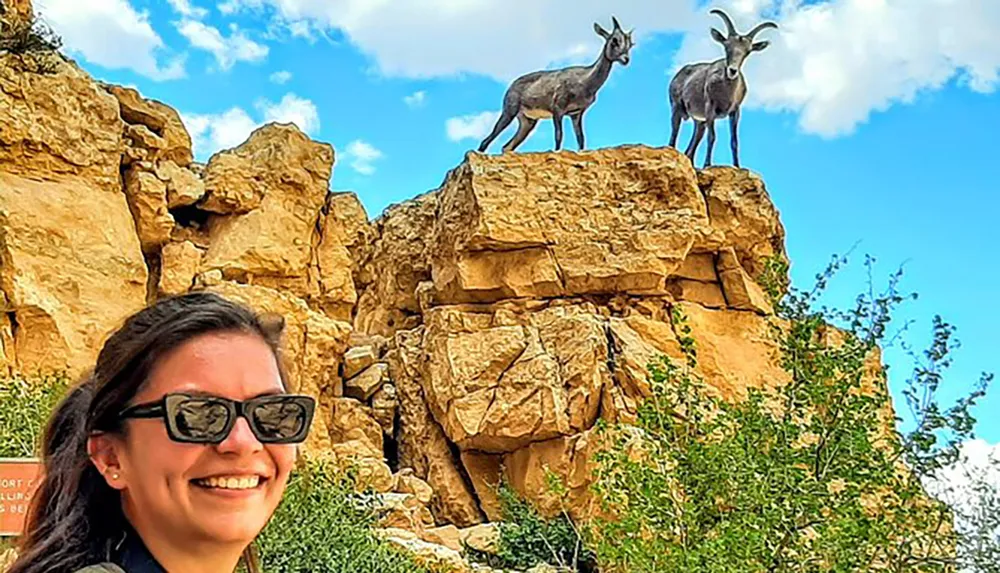 A smiling woman with sunglasses is posing in the foreground while two goats stand atop a rocky outcrop behind her under a blue sky with white clouds