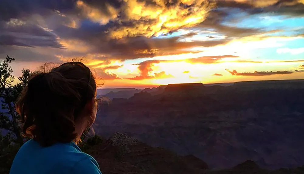 A person gazes out at a breathtaking sunset over the vast canyons painted with shades of orange and purple in the sky