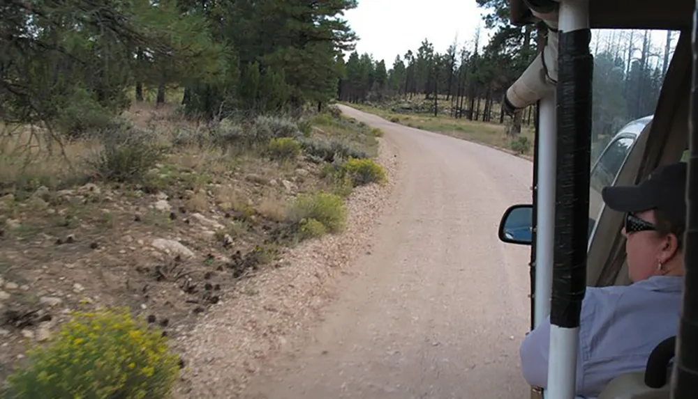 A person is looking out from a vehicle at a dirt road winding through a wooded landscape