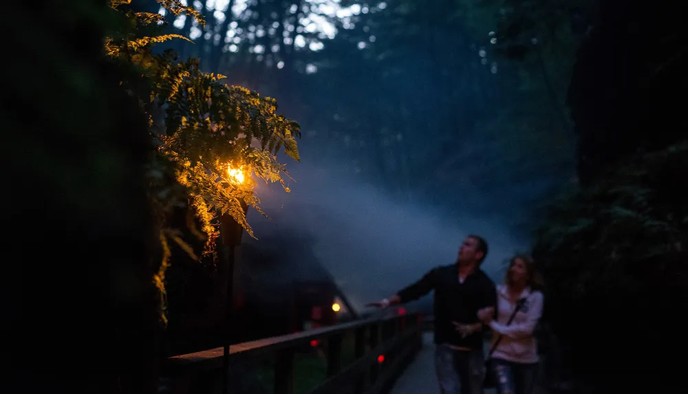 A couple is observing something while standing on a bridge in a misty forest illuminated by a single torchlight at dusk