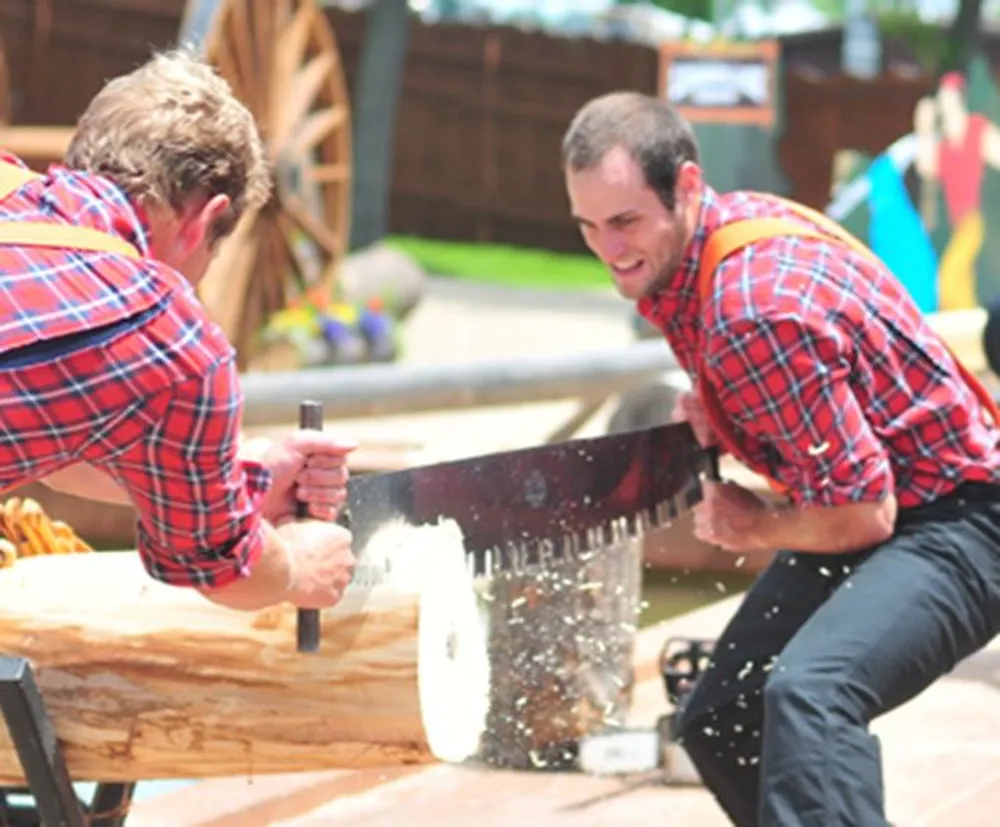 Two individuals in matching plaid shirts are energetically engaged in a traditional sawing competition cutting through a large log with a two-man crosscut saw