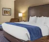 The image shows a neatly made bed with white linens and a blue accent throw in a tidy hotel room with two lamps and a framed picture on the wall