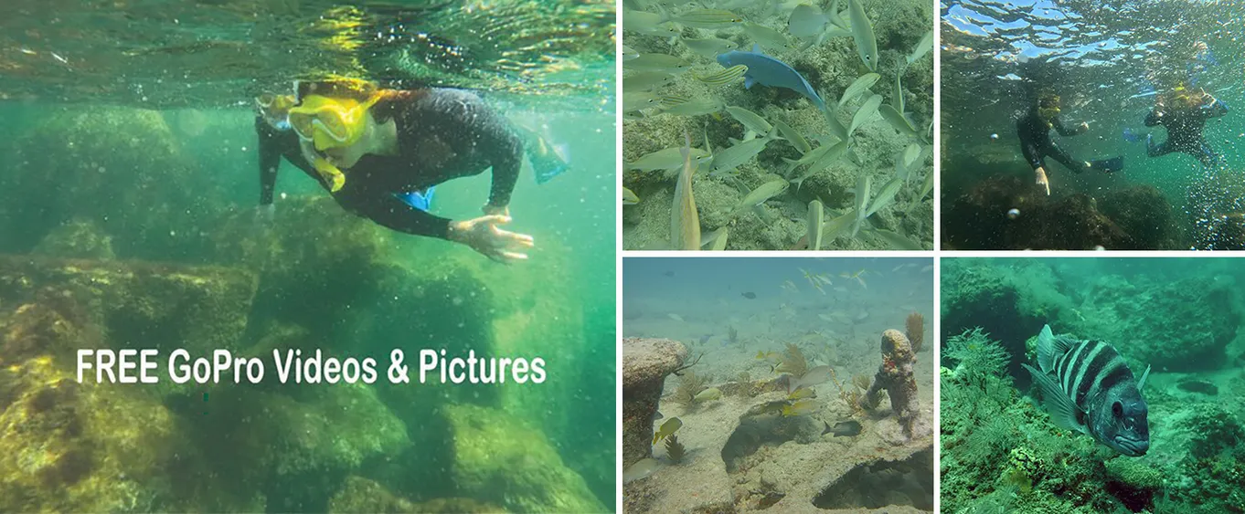Discover Snorkeling Tour in Panama City