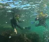 A person is snorkeling underwater near a rocky seabed captured in a photograph with a text overlay promoting FREE GoPro Videos  Pictures