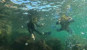 Discover Snorkeling Tour in Panama City Photo