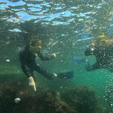 Discover Snorkeling Tour in Panama City