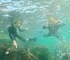 A person is snorkeling underwater near a rocky seabed captured in a photograph with a text overlay promoting FREE GoPro Videos  Pictures