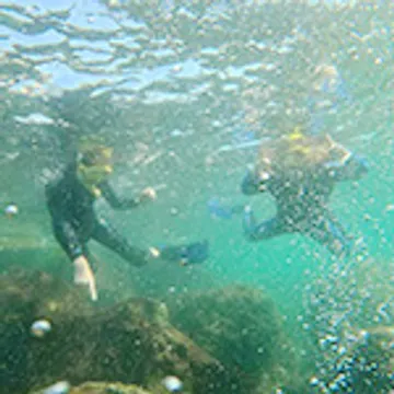 Discover Snorkeling Tour in Panama City Photo