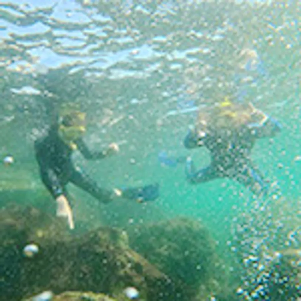 Two people are snorkeling underwater surrounded by clear blue water and rocks