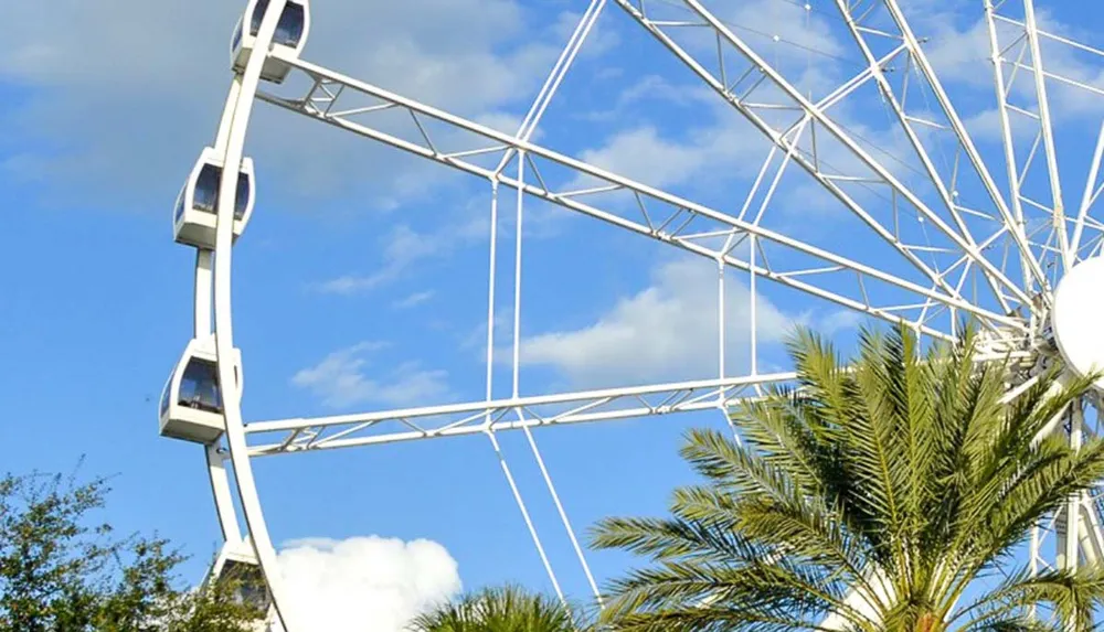 A section of a large Ferris wheel is pictured against a blue sky dotted with clouds with tropical palm foliage in the foreground