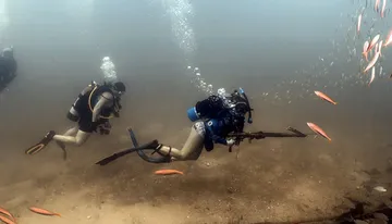 Dive Charter: Inshore Wreck and Bridge Span Photo