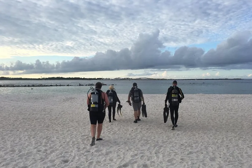 A group of scuba divers walks towards the sea across a sandy beach under a cloudy sky