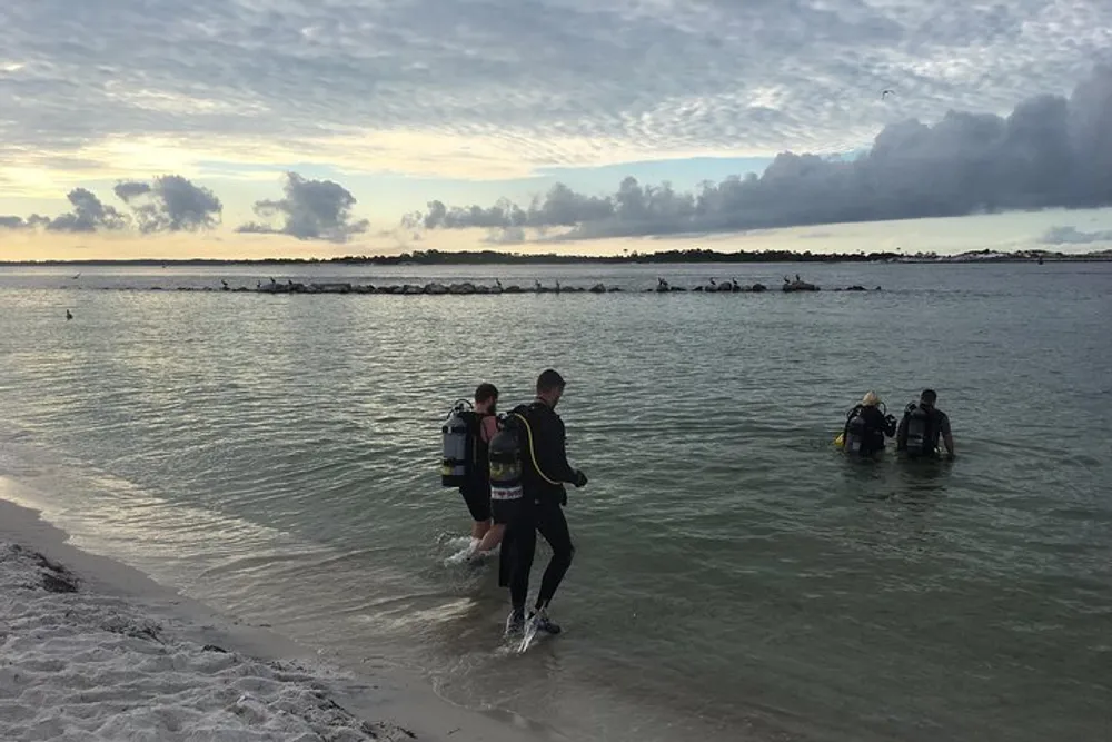 Several scuba divers are entering the sea from a sandy beach under a cloudy sky at dawn or dusk