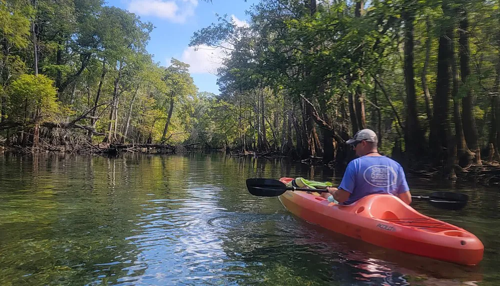 A person is kayaking on a tranquil river surrounded by lush green trees