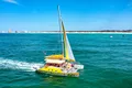 Dolphin Sightseeing Tour from Panama City Beach Photo