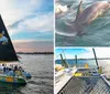 A sailboat with a black sail bearing a pelican image is cruising on the water at sunset with a group of passengers enjoying the scenery