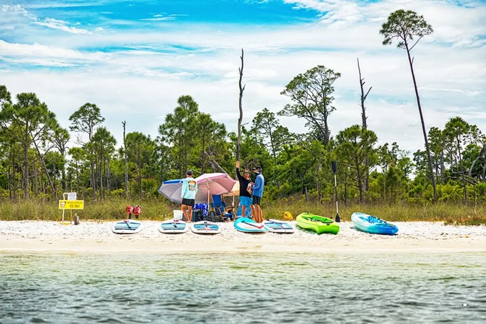 A group of people is enjoying a sunny day at a beach with kayaks and paddleboards under the shade of umbrellas with a backdrop of trees and clear skies