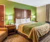 The image shows a neatly arranged hotel room with a queen-sized bed contrasting green and beige walls and modern furnishings