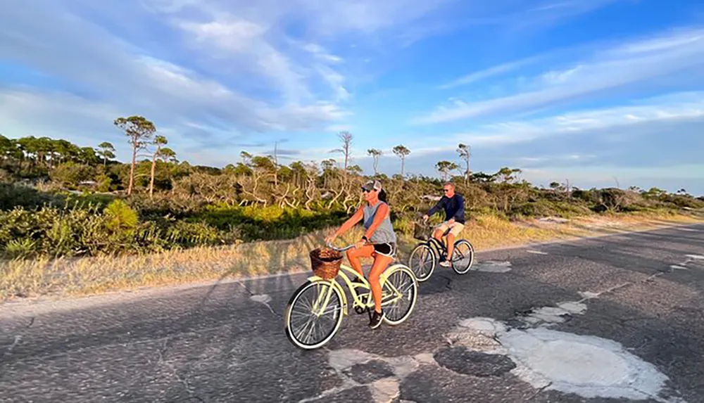 Two people are enjoying a leisurely bike ride on a sunny road lined with trees and shrubs