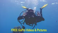 Panama City Scuba Diving Acti...