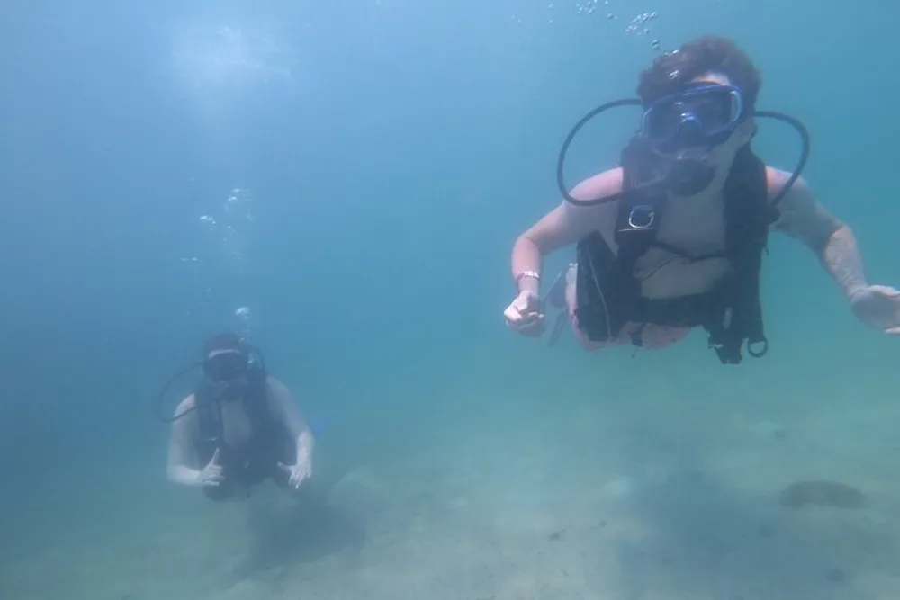Two scuba divers are submerged in clear water exploring an underwater environment