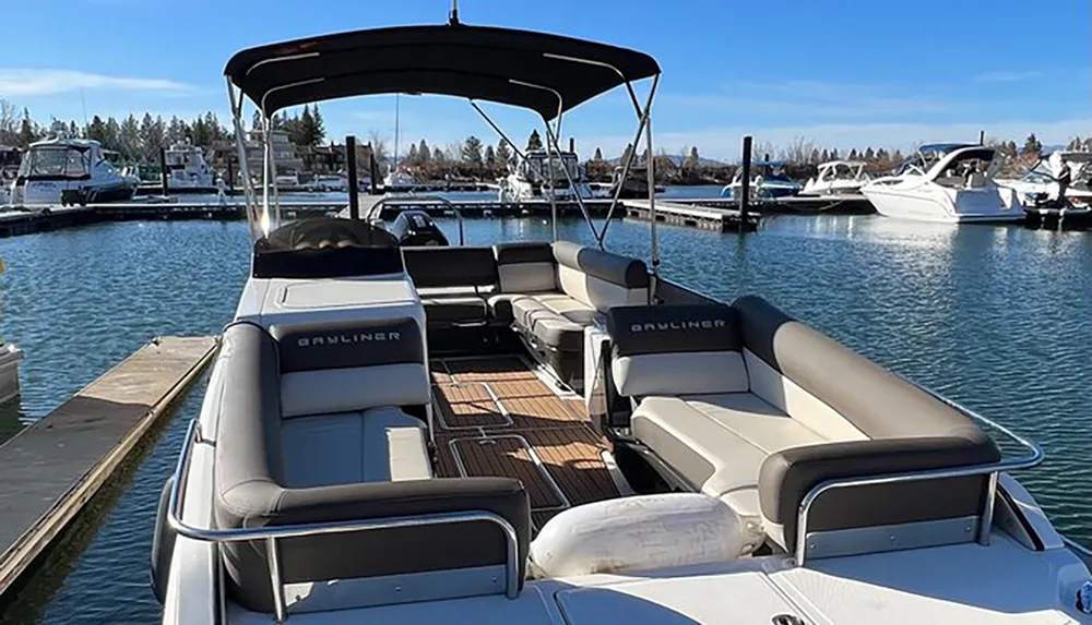 A pontoon boat with comfortable seating is docked at a marina on a clear day