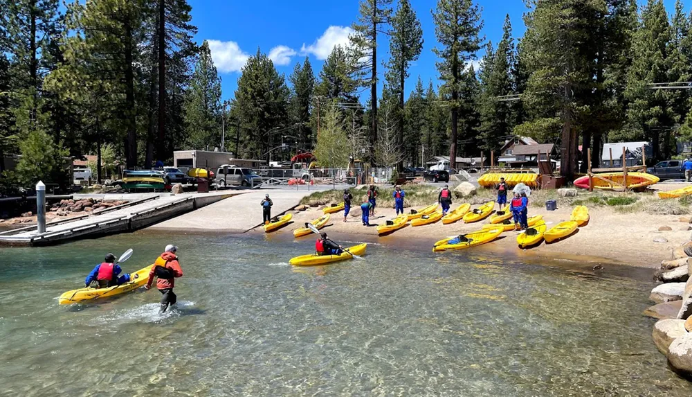 A group of people in life vests are preparing to kayak near a tree-lined shore with yellow kayaks scattered on the beach and in the clear water
