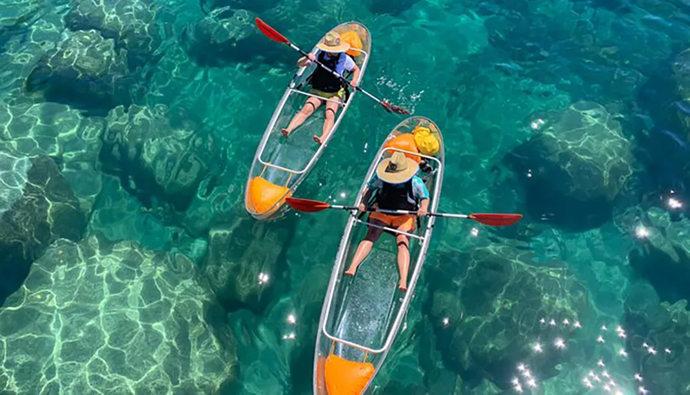 Two people in transparent kayaks paddle over clear sparkling water revealing the rocky seabed below