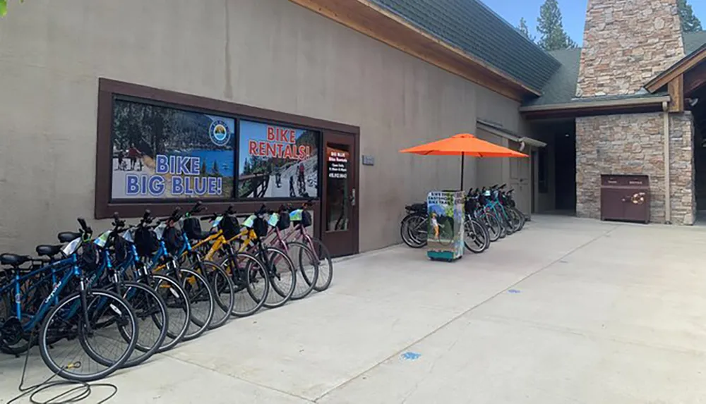 A row of bicycles is parked outside a building advertising bike rentals under a large sign with an orange umbrella and a nature-themed stand nearby