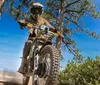 A dirt bike rider in full gear takes to a dusty trail amidst a wooded area under a clear blue sky