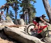 Two mountain bikers are navigating a rocky trail amidst trees under a clear blue sky
