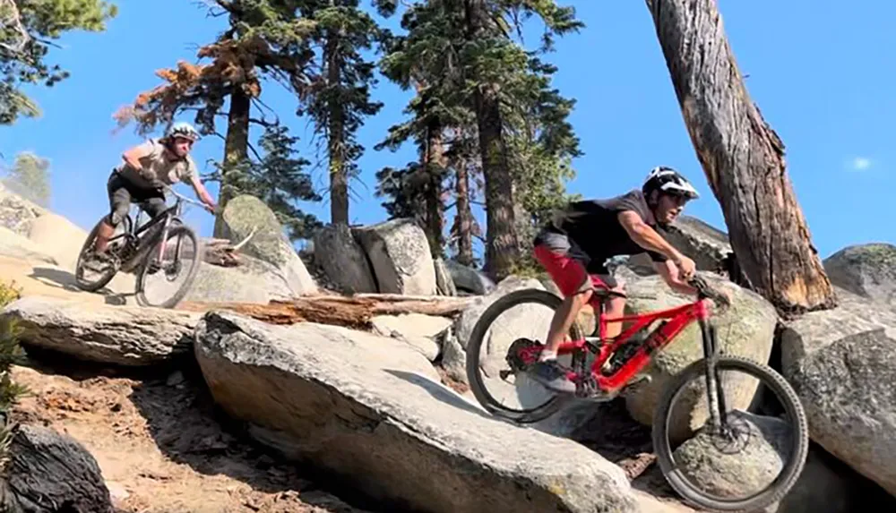 Two mountain bikers are navigating a rocky trail amidst trees under a clear blue sky