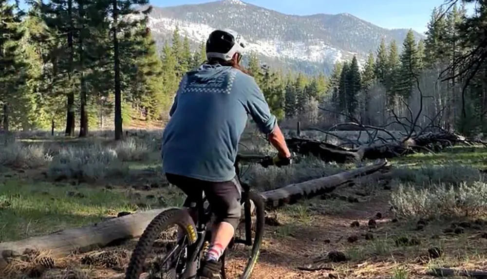 A person is riding a mountain bike on a trail through a wooded area with mountains in the background