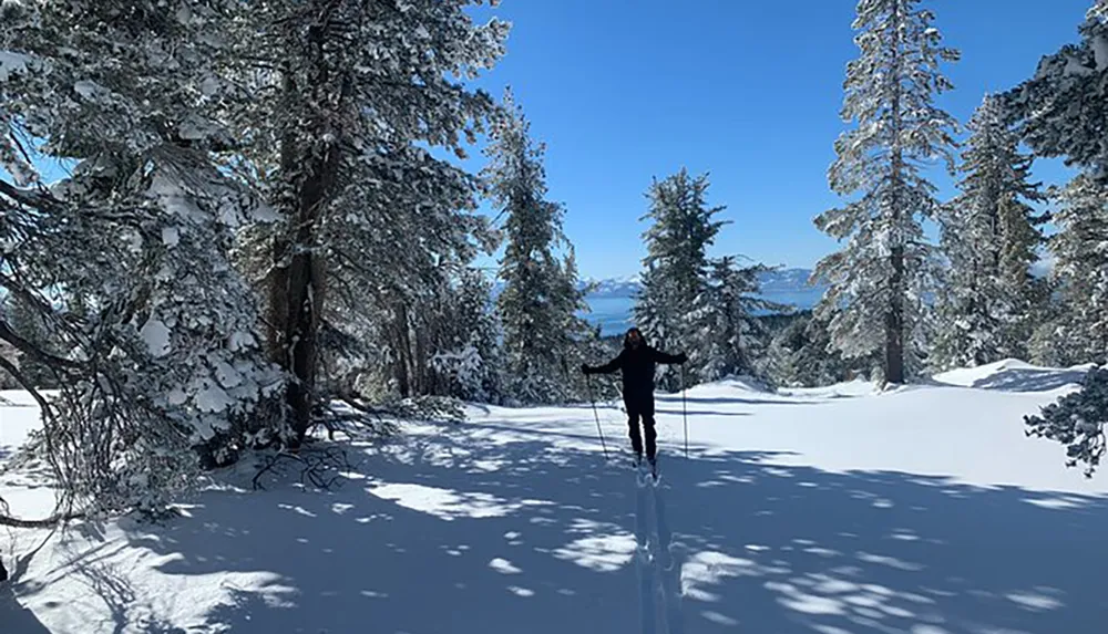 A person is cross-country skiing in a snowy forest with a clear view of a lake in the distance