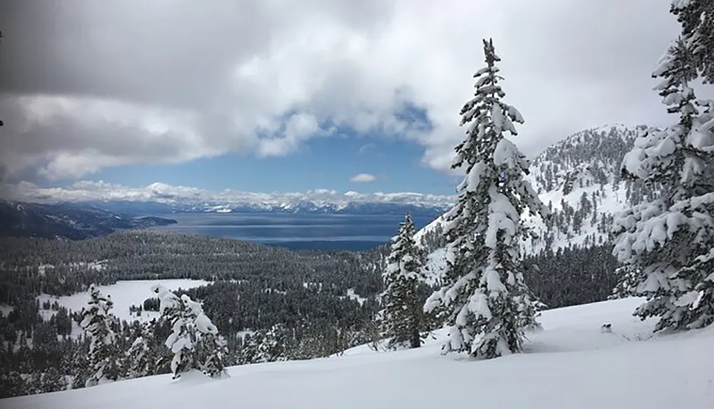 A snowy landscape with pine trees offers a stunning view of a clear blue lake nestled between mountains under a partly cloudy sky