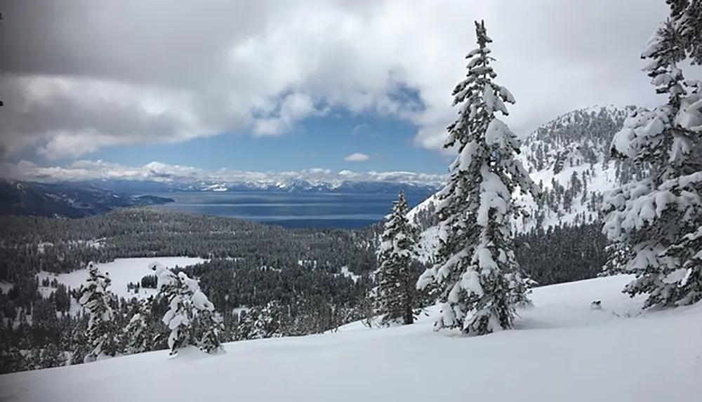 The image features a picturesque winter scene with snow-covered pine trees and a sweeping view of a lake surrounded by mountains under a partly cloudy sky