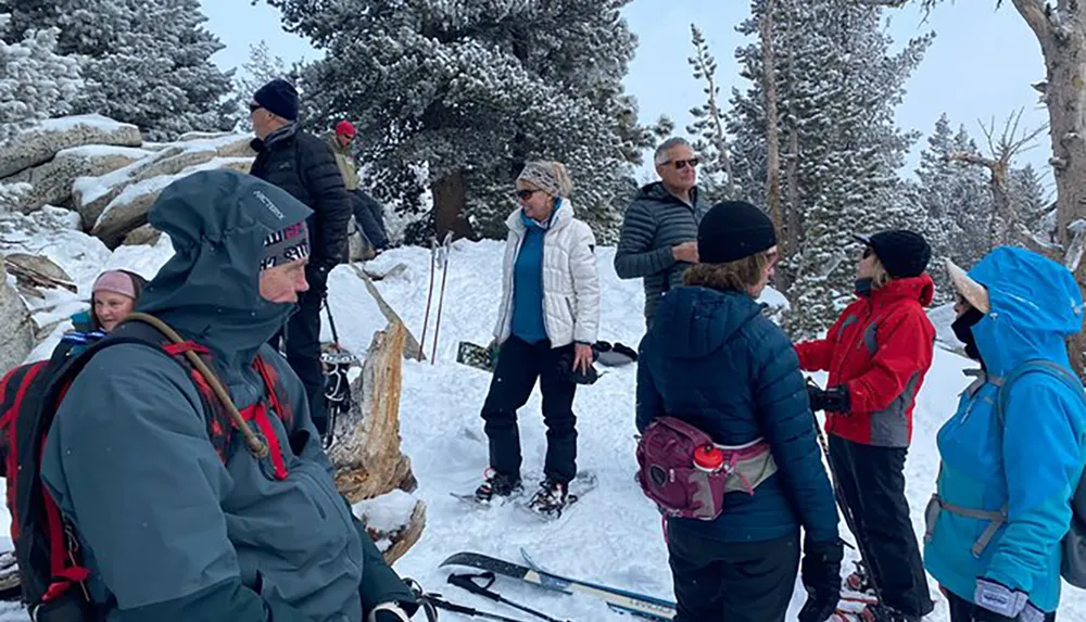 A group of people some equipped with skis and snowshoes are gathered on a snow-covered slope engaging in conversation amidst a wintry forested landscape