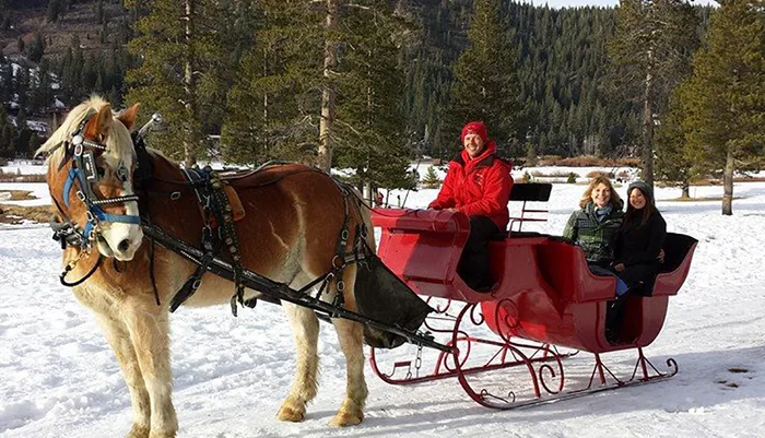 Sunset Sleigh Ride and Dinner Photo