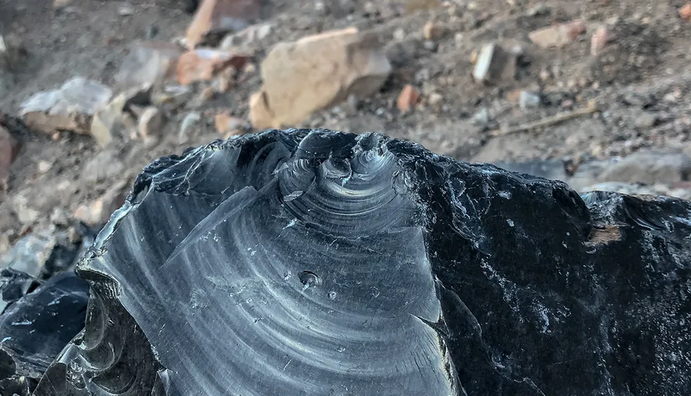 A close-up photo of an intricately layered and shiny black rock possibly obsidian against a blurred background of rocky terrain