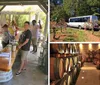 El Dorado County Wine  Harvest Tour in Apple Hill