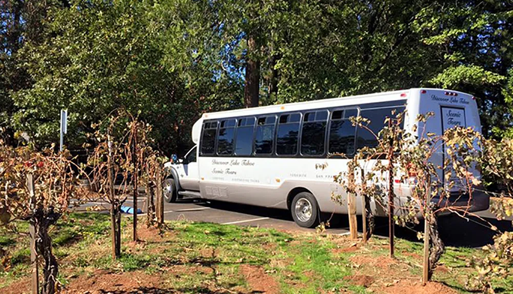 A tour bus is parked on a sunny day behind some young leafless trees