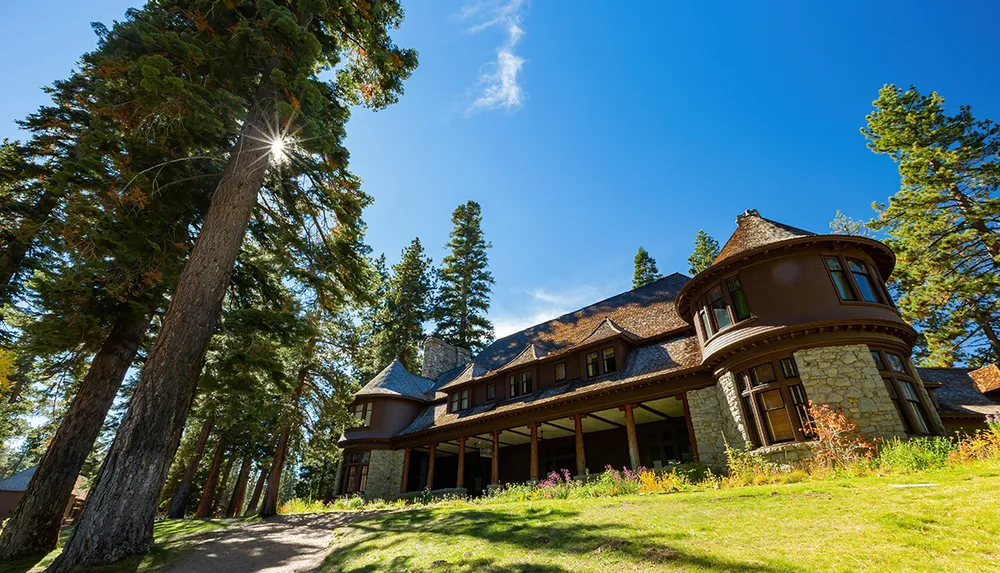 A majestic stone mansion with a turret surrounded by tall pine trees under a clear blue sky bathed in sunlight