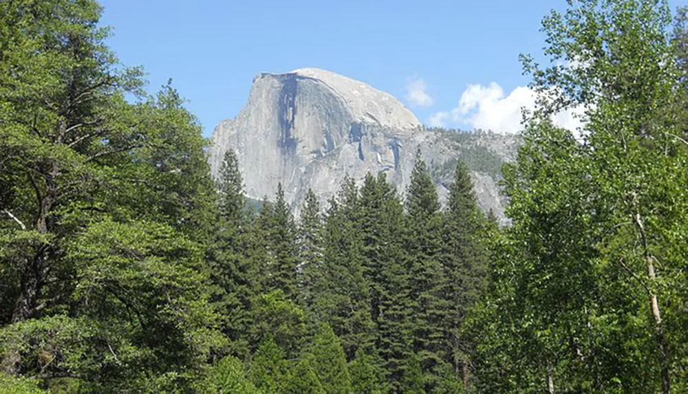 The image shows the iconic granite rock formation Half Dome towering behind a lush green forest under a partly cloudy sky