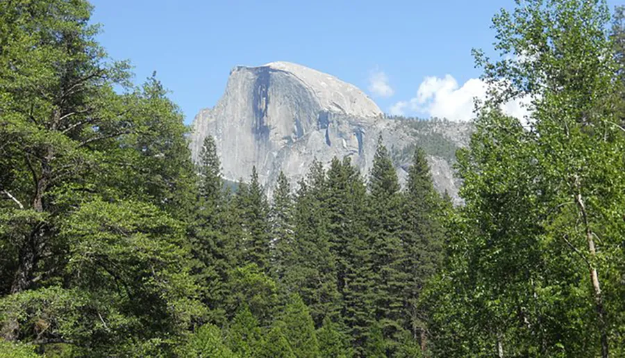 The image shows the iconic granite rock formation Half Dome towering behind a lush green forest under a partly cloudy sky.