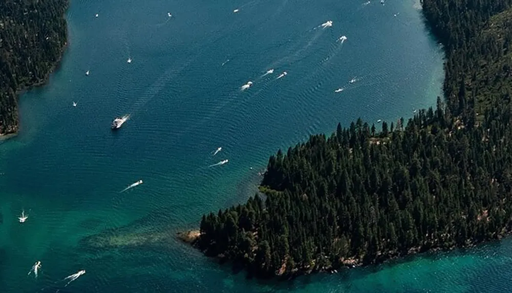 The image shows a birds-eye view of a forested peninsula surrounded by clear blue water with several boats creating white trails as they navigate around it