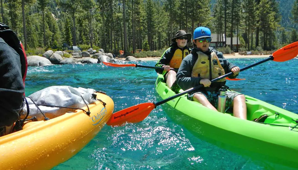 Two individuals are kayaking in clear blue water near a pine forest